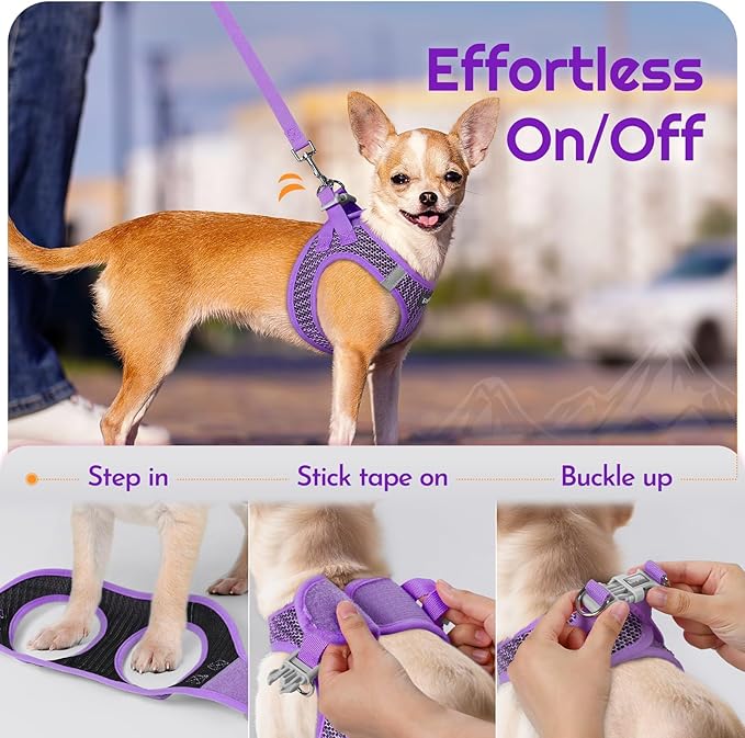 Eagloo Small Dog Harness and Leash Set, Step in Puppy Vest with Breathable Soft Mesh, Walking Reflective Pet Harness for Small Dogs, Purple, L