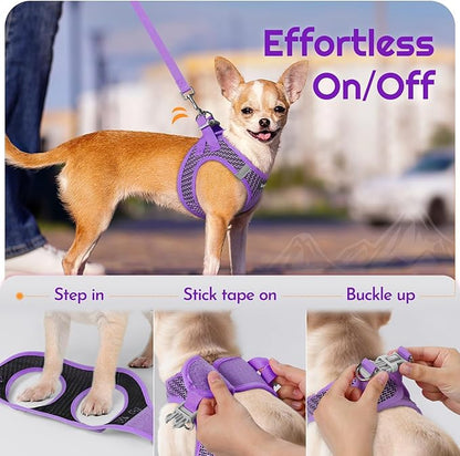 Eagloo Small Dog Harness and Leash Set, Step in Puppy Vest with Breathable Soft Mesh, Walking Reflective Pet Harness for Small Dogs, Purple, XXS