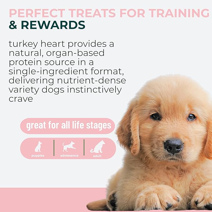 Momentum Carnivore Nutrition Freeze-Dried Turkey Heart Dog Treats & Cat Treats – Single-Ingredient, High-Protein, Grain-Free, Lean & Easily Digestible – Made in USA – 3 oz Bag