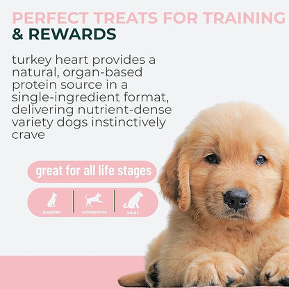 Momentum Carnivore Nutrition Freeze-Dried Turkey Heart Dog Treats & Cat Treats – Single-Ingredient, High-Protein, Grain-Free, Lean & Easily Digestible – Made in USA – 3 oz Bag
