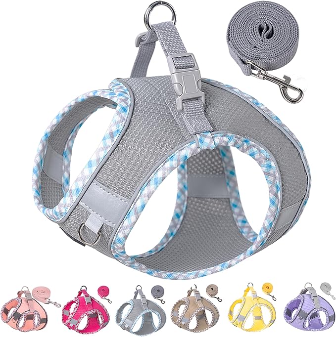 Petank Dog Harness for Small Medium Dogs No Pull, Puppy Harness and Leash Set for Walking, Running, Training, Small Dog Harness, Medium Dog Harness (Grey, XXS)