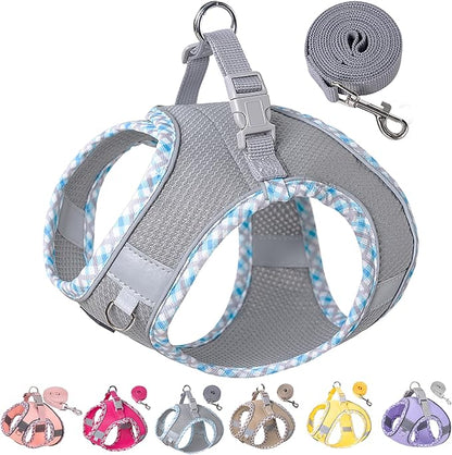 Petank Dog Harness for Small Medium Dogs No Pull, Puppy Harness and Leash Set for Walking, Running, Training, Small Dog Harness, Medium Dog Harness (Grey, L)