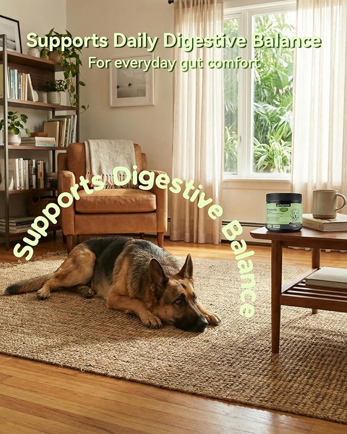 Probiotic Soft Chews for Dogs – Daily Gut & Digestive Support, Spore-Forming Probiotic with Multi-Strain Lactobacillus, Prebiotic Inulin/FOS, Chicken Flavor, 120 Chews