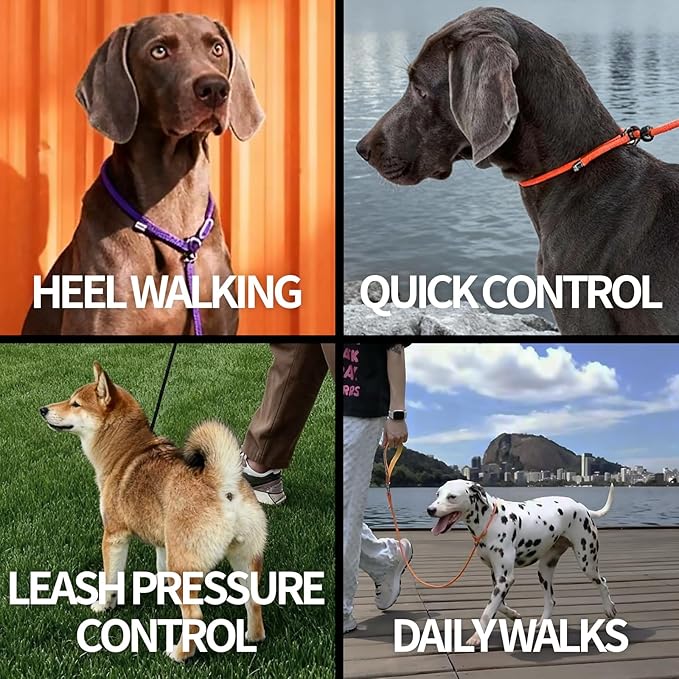 Dog Anti-Slip Leash 5FT with Metal Stopper - Durable No-Pull Training Lead for Small, Medium & Large Dogs - Comfortable Handle Nylon Rope, Tangle-Free Pet Walking Leash (Blue, 5.6FT)