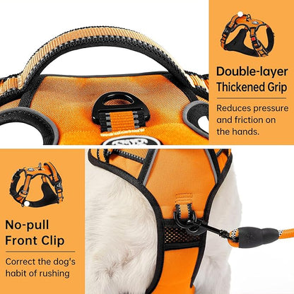 IVY&LANE No Pull Dog Harness for Small Dogs, Vest Harness with Leash, Safety Belt and Storage Strap, Fully Adjustable, 360° Reflective Strip, Soft Handle (Orange, S)