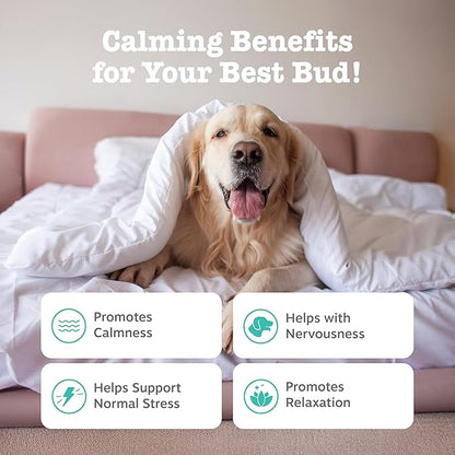 Zesty Paws Calming Chews for Dogs - for Everyday Stress, Relaxation, Composure, and Separation Bacon 90 Count