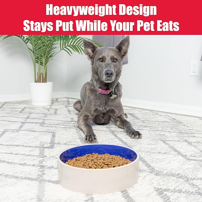 SPOT Standard Crock Dish - Heavy Duty, Non-Slip, Round Ceramic Food/Water Bowl for Pets, Ideal for Medium to Large Dogs or Multiple Animals, Dishwasher Safe - 9.5 in, 8 Cups, (64 Oz)