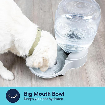 Petmate Aspen Pet Lebistro Cat and Dog Water Dispenser, Made in USA