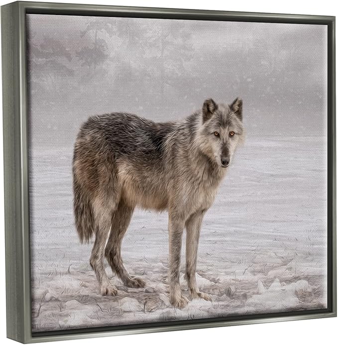 Stupell Industries Lone Coyote Wolf Snowy Field Landscape Intricate Details Floating Framed Wall Art, Design By Kelley Parker