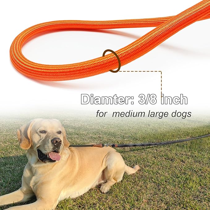 Tie Out Rope Dog Leash, 15-20-30-50-65 FT Heavy Duty Nylon Check Cord for Medium Large Dogs Indoor/Outdoor Playing Camping Backyard (Orange, 3/8" x 30ft)