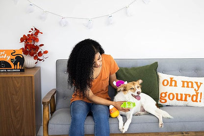 Pearhead Halloween Candy Dog Toys - Plush Pet Toy with Squeakers, Spooky Fall Finds, Set of 3