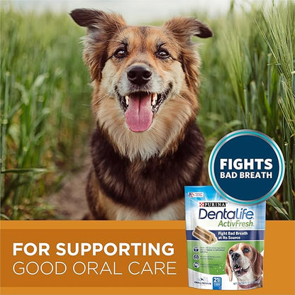 DentaLife Purina Bundle Pack Adult Dry Dog Food and Treats, ONE Chicken and Rice Formula ActivFresh