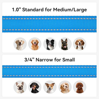 Joytale Dog Leash, 4 FT Double-Sided Reflective, Padded Handle Nylon Heavy Duty Leashes for Small Dogs Walking, SkyBlue