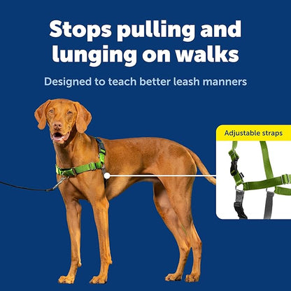 PetSafe Easy Walk No-Pull Dog Harness - The Ultimate Harness to Help Stop Pulling - Take Control & Teach Better Leash Manners - Helps Prevent Pets Pulling on Walks, Medium, Apple Green/Gray