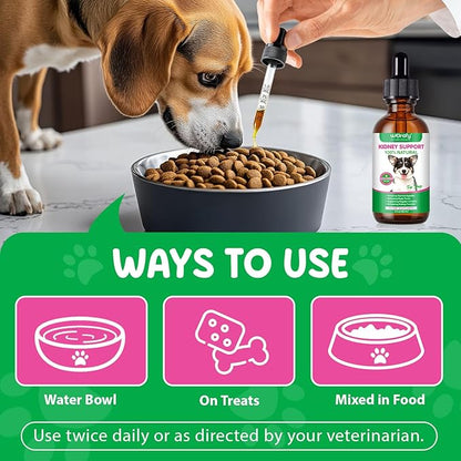 Kidney Support for Dogs,Kidney Function Support Drops for Balancing Body, Supporting Regular Urination, 2 fl.oz /60 ml