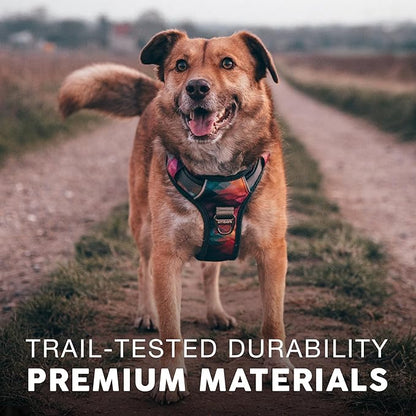 Embark Adventure Dog Harness for Small, Medium & Large Dogs – No Pull, Reflective Trim, Heavy Duty Oxford, 2 Leash Clips, Gel-Lined Handle, Soft Padded