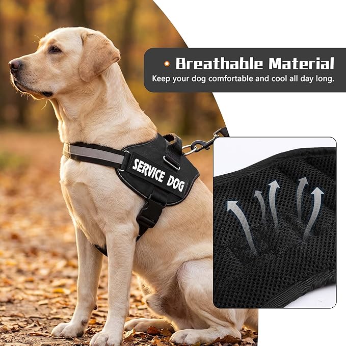 MUMUPET Service Dog Harness, No Pull Reflective Adjustable with Handle, Soft Breathable Padding for Small Dogs, 2 Removable Velcro Patches (Black, XS)