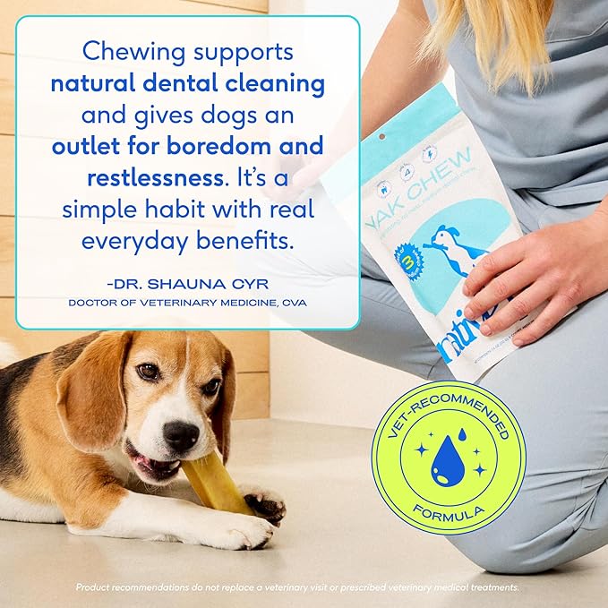 Native Pet Goat Milk Powder for Dogs (120 Scoops) & Yak Chew (3 Large Chews) - All Natural Dental Sticks Made with Yak Cheese & Organic Goat Milk to Support a Healthy Digestive System