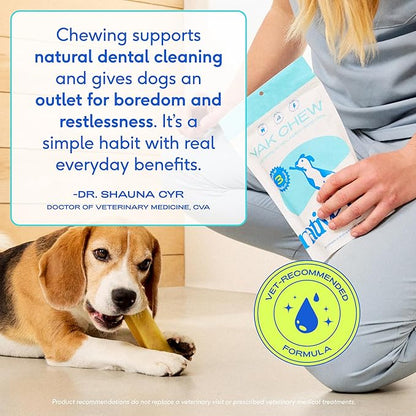 Native Pet Goat Milk Powder for Dogs (120 Scoops) & Yak Chew (3 Large Chews) - All Natural Dental Sticks Made with Yak Cheese & Organic Goat Milk to Support a Healthy Digestive System