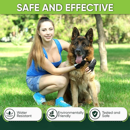 Flea and Tick Prevention Collar for Dogs, Adjustable Dog Flea and Tick Treatment for Puppy, Small, Medium, Large, and Extra Large Dogs, Best Natural Flea and Tick Collars (Gray Collar)
