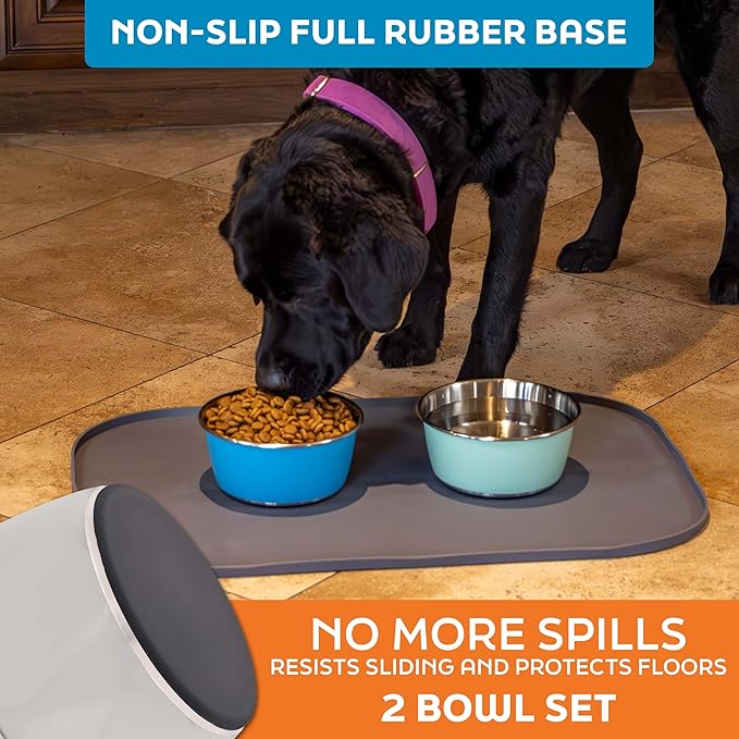 Master Pet Supply Stainless Steel Dog Bowls Set of 2 (32 Oz Each) with Non-Slip Rubber Base - Bone White - Basic Dog Food Bowl Water & Food Bowls for Small Medium Large Dogs & Cats, Metal Dish