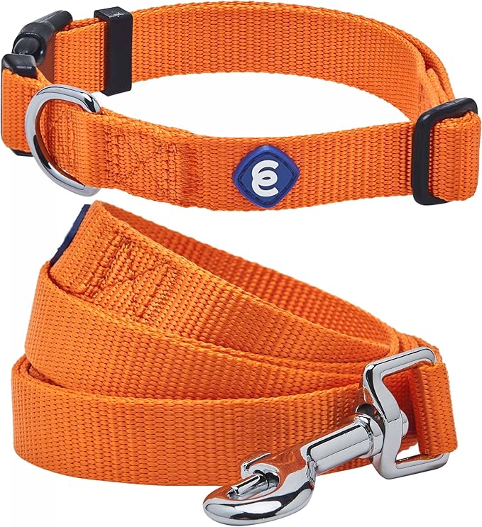 Blueberry Pet Essentials Matching Dog Collar and Leash Set in Orange Vermilion, Adjustable Classic Solid Color Nylon Collar with 4 ft Leash for Large Dogs