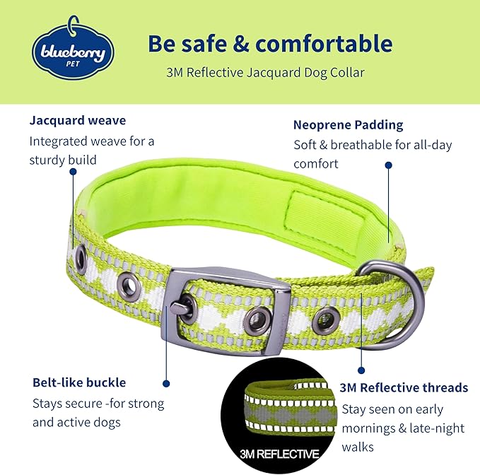 Blueberry Pet Reflective Jacquard Dog Collar with Neoprene Padding & Metal Buckle | Soft & Adjustable Safety Collar - Macaw Green, Neck 9-12.5", for Small Breed