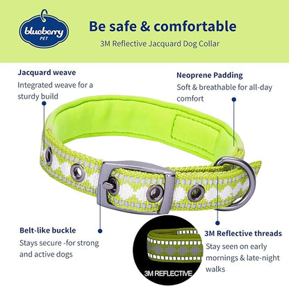 Blueberry Pet Reflective Jacquard Dog Collar with Neoprene Padding & Metal Buckle | Soft & Adjustable Safety Collar - Macaw Green, Neck 9-12.5", for Small Breed