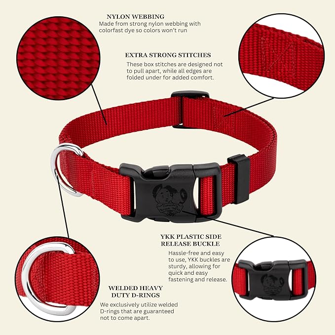 Country Brook Petz - Everyday Nylon Dog Collar for Large, Medium, and Small Dogs and Puppies - for Everyday Use in 10+ Warm Colors (3XS, 3/8 Inch Wide, Red)
