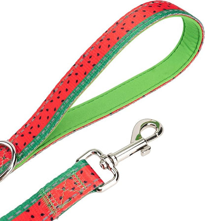 EcoBark Dog Leash - Soft & Reflective Comfort Leashes with Padded Handle - Safe, Strong, & Durable for Small, Medium or Large Dogs (Watermelon)