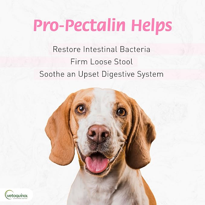 Vetoquinol Pro-Pectalin Oral Paste for Dogs & Cats, Helps Relieve Occasional Diarrhea, Situational Diarrhea Relief with Kaolin and Pectin, Contains Beneficial Probiotic Bacteria, 30cc - Pack of 2