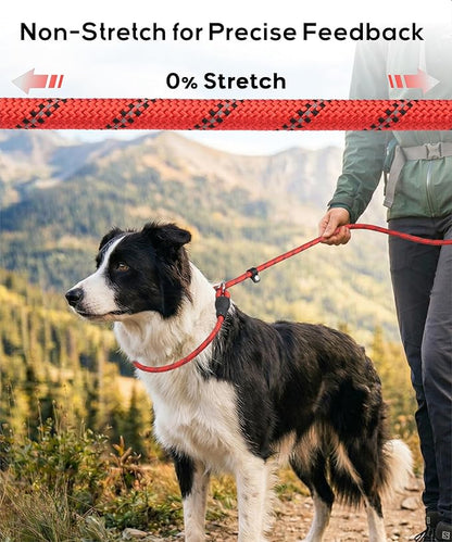 TagME 6ft Slip Dog Lead, No Pull Reflective Training Leash with Padded Handle, Professional Rope P-Leash for Small Medium Large Dogs, Heavy Duty Correction Lead for Walking & Training (Hot Pink)
