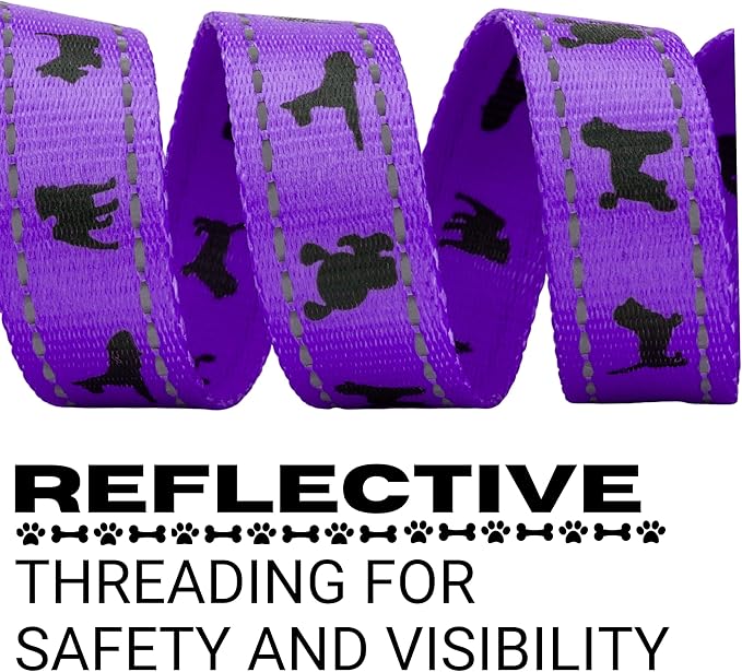EcoBark Dog Leash - Soft & Reflective Comfort Leashes with Padded Handle - Safe, Strong, & Durable for Small, Medium or Large Dogs (Purple)