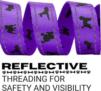 EcoBark Dog Leash - Soft & Reflective Comfort Leashes with Padded Handle - Safe, Strong, & Durable for Small, Medium or Large Dogs (Purple)