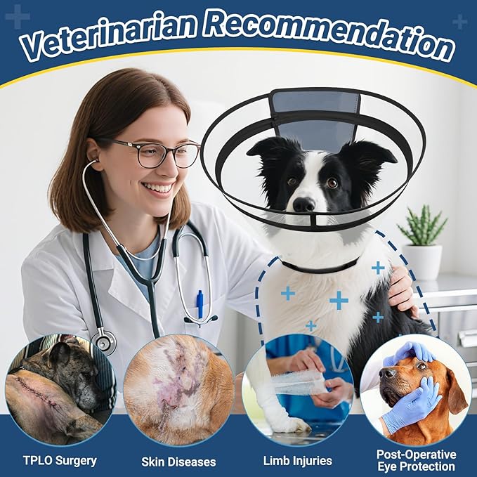 Dog Cone to Stop Licking, Clear Recovery Collar with Detachable Zipper, Sturdy Elizabethan Collar for Large Medium Small Dogs, Soft Adjustable Cone After Surgery Patented, Black XXL