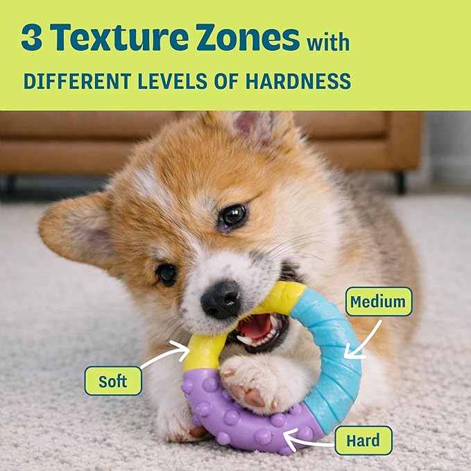 Grow-with-Me Ring Dog Chew Toy, Durable Rubber, 3 Texture Zones, Teething Puppies & Small Dogs, 4.7”