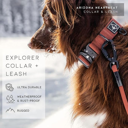 Made to ROAM Premium Dog Collar - Adjustable Heavy Duty Nylon Collar with Quick-Release Metal Buckle (Oregon Haze, Classic Size 2)