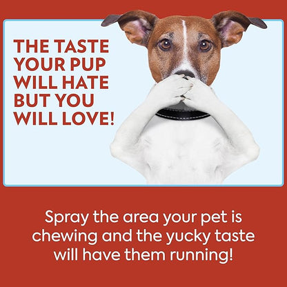 OUT! PetCare No Chew Bitter Cherry Flavor Deterrent, Puppy Training, No Chew Spray for Dogs, Dog Training To Discourage Licking and Chewing, Non-Staining, Behavior Correction, Puppy Essentials, 32 oz