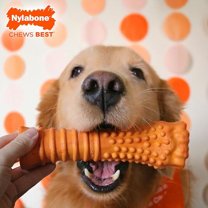Nylabone Limited Edition 70th Birthday Textured Knuckle Bone Strong Chew Toy for Dogs, Rubber Dog Toys for Moderate & Aggressive Chewers, Bacon & Cheese Flavor, X-Large - 50+ lbs, 1 Count