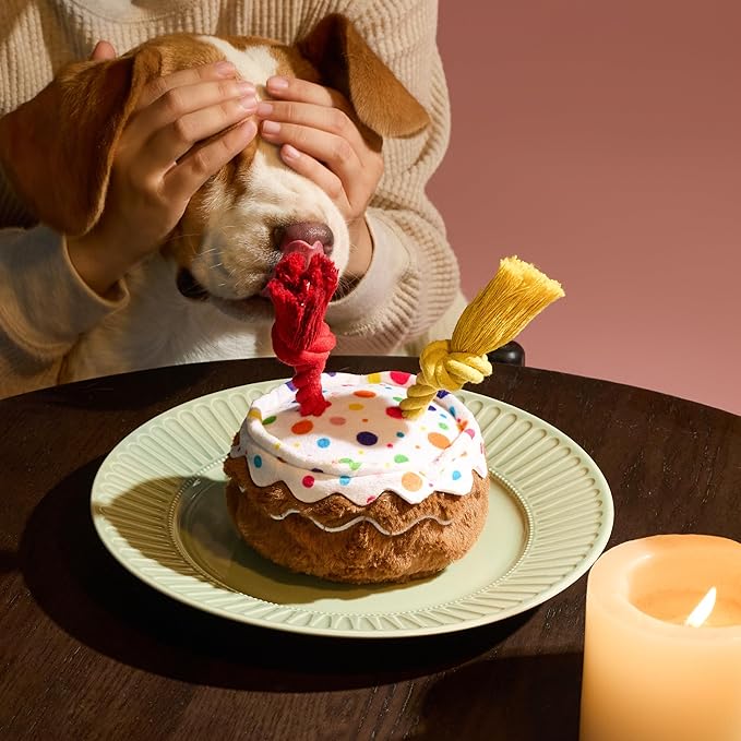 LE SURE Dog Birthday Cake Toy - Cute Dog Birthday Cake Squeaky Toy with Interactive Tug Rope, Interactive Chew Toy for Puppy Birthday Party & Daily Play, XSmall, Milk Chocolate