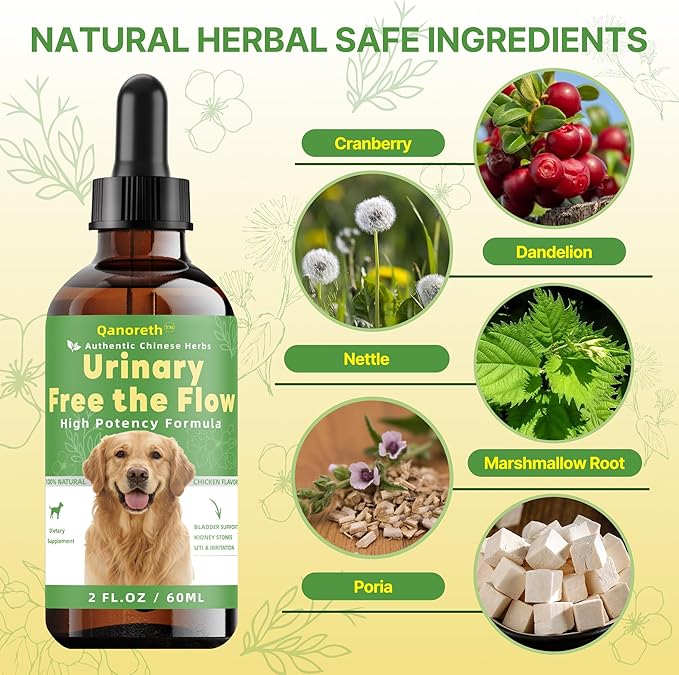 Bladder & Kidney Stones Dissolver for Dogs – Natural Dog UTI Treatment & Urinary Tract for Dogs, Stone and Crystals Fragment Flush & Prevention, Vet-Formulated Dog Urinary Tract Infection Support