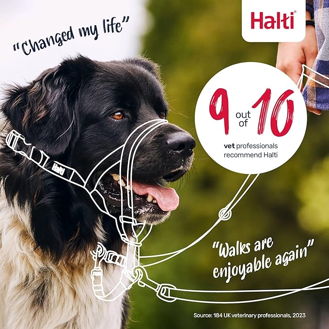 Halti Headcollar - Stop Your Dog Pulling on the Leash. Adjustable, Reflective and Lightweight, with Padded Nose Band. Dog Training Anti-Pull Collar for Small Dogs (Size 1, Red)