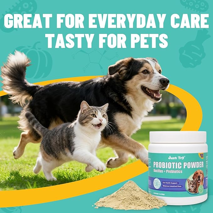 Just Try 7oz Probiotic Powder Probiotics for Cat Probiotic - Gut Health for Cat Constipation Relief Chicken Flavored - Supplements Cat Supplies 200g