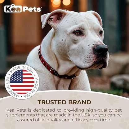 Cough Suppressant for Dogs - Natural Dog Respiratory Support During Kennel Cough Respiratory Health, and Optimal Dog Breathing