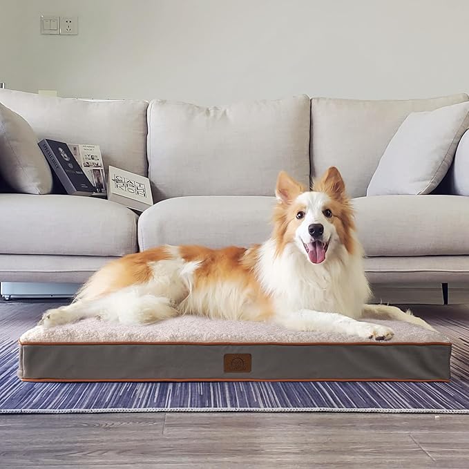 Sunheir XXL Dog Bed Extra Large Waterproof Big Orthopedic Dog Beds with Removable Washable Cover for Large Dogs, Pet Bed Mat Egg-Crate Foam, XXL(44"X32"X3"), Light Grey