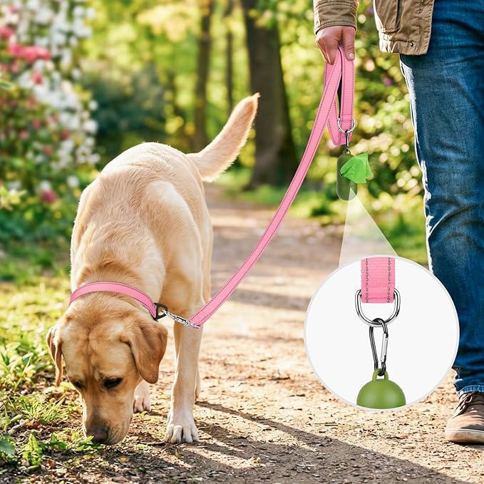 Joytale Dog Leash, 6 FT Double-Sided Reflective, Padded Handle Nylon Heavy Duty Leashes for Small Dogs Walking, Pink