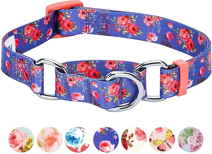 Blueberry Pet Spring Scent Inspired Rose Print Martingale Safety Training Dog Collar, Irish Blue, Medium, Heavy Duty Adjustable Collars for Dogs