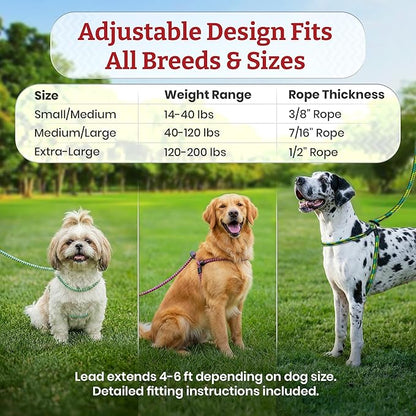 Harness Lead No Pull Dog Harness and Leash Set, Anti Pull Dog Harness, One-Piece Cushioned Rope Safely Prevents Escaping and Pulling (Medium/Large, Purple/Turquoise)