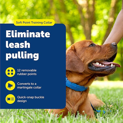 PetSafe Soft Point Training Collar - Comfortable No-Pull Adjustable Quick-Release Collar with Removable Soft Rubber Points - Pain-Free Training for Better Leash Manners - Large - Blue