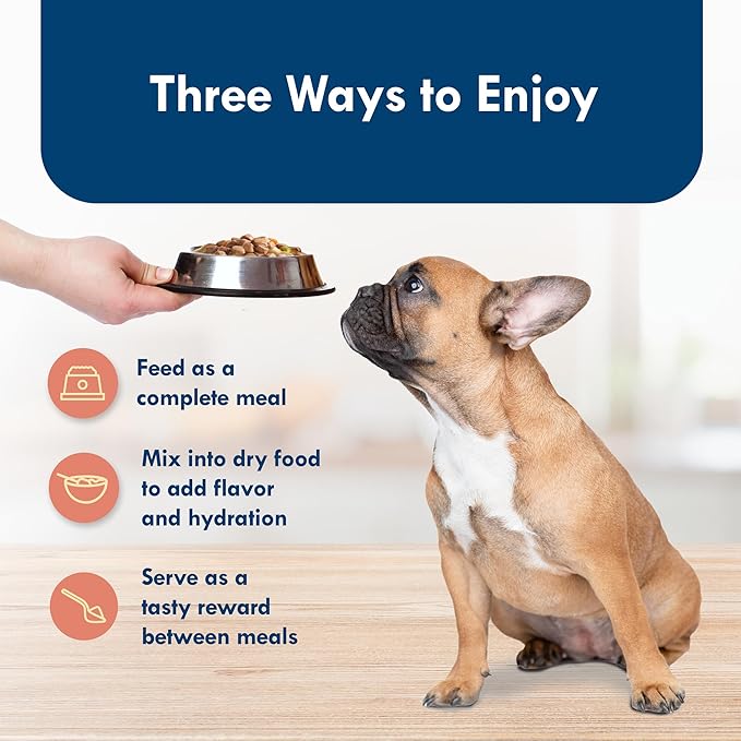 Blue Buffalo Delights Natural Adult Small Breed Wet Dog Food Cups, Pate Style, Filet Mignon Flavor in Savory Juice 3.5-oz (Pack of 12)